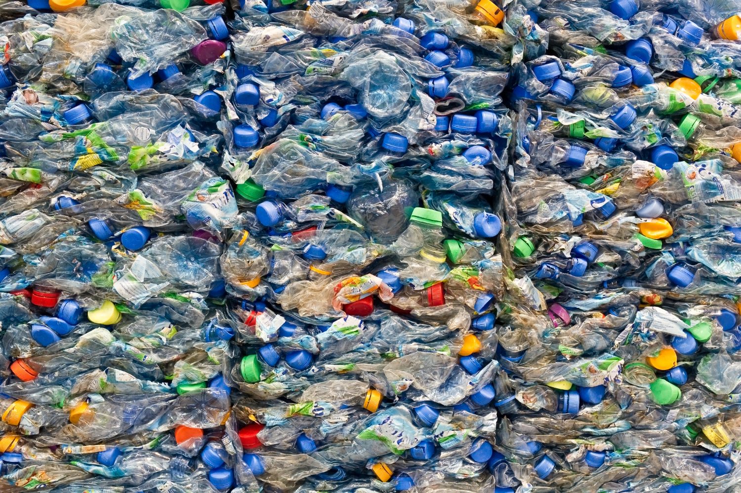 crushed plastic bottles
